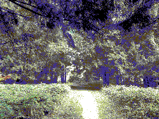 bitcrushed image of a dirt road